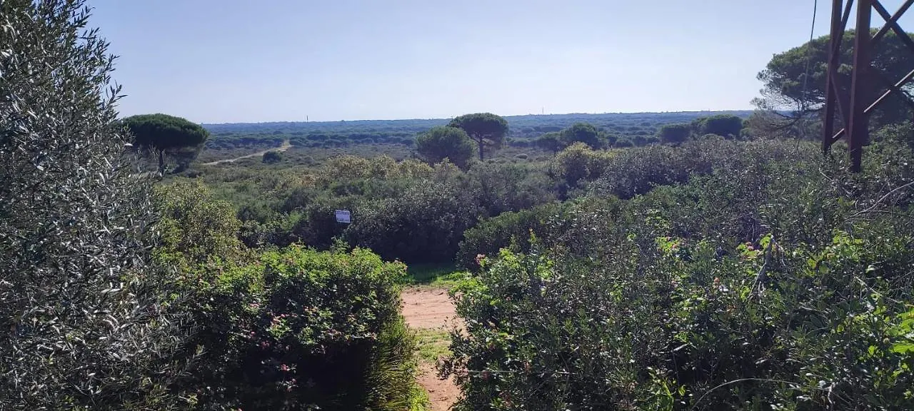 Casa En Loma Sancti Petri A 900 M De La Playa De La Barrosa Villa Chiclana de la Frontera 0*,  Spain